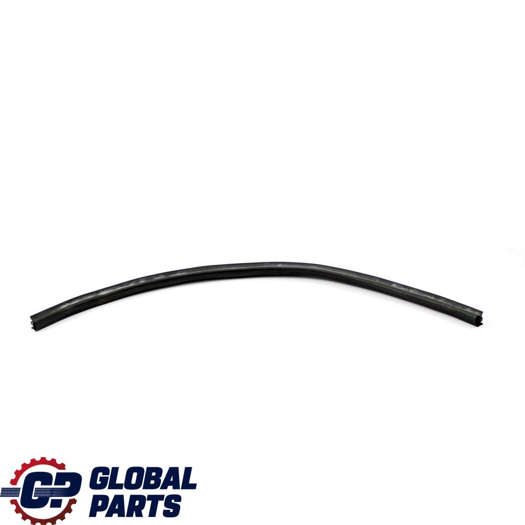 BMW 7 E65 E66 Door Weatherstrip Rear Seal Gasket C Column Left N/S 8223763