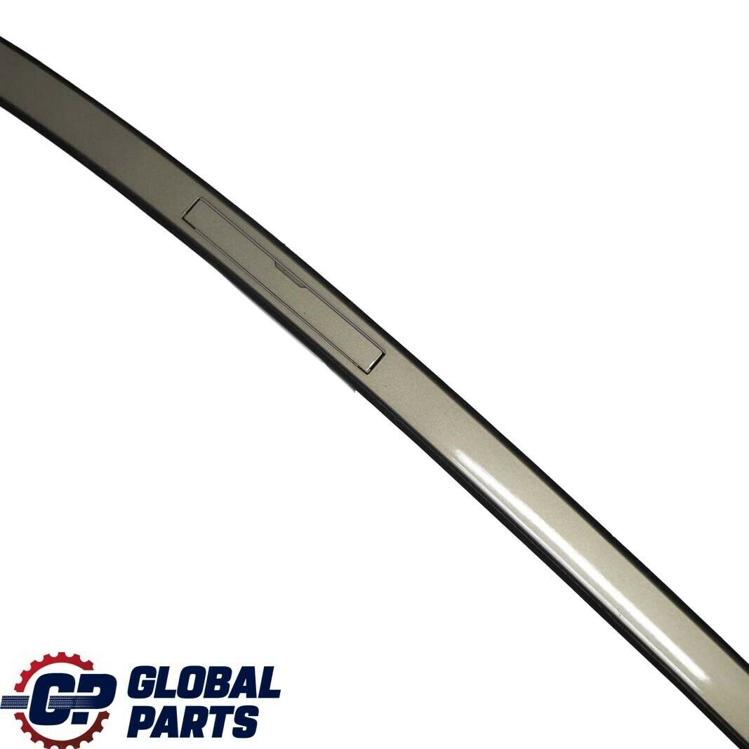 BMW 3 Series E90 Left Roof Moulding Railing Trim N/S Platinbronze Metallic A53