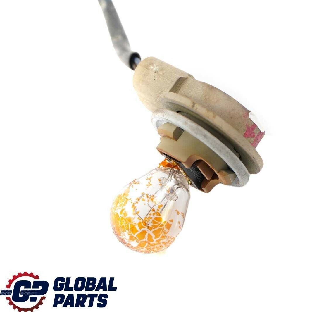 BMW X5 Series E53 Xenon Bulb Socket Turn Indicator With Cable