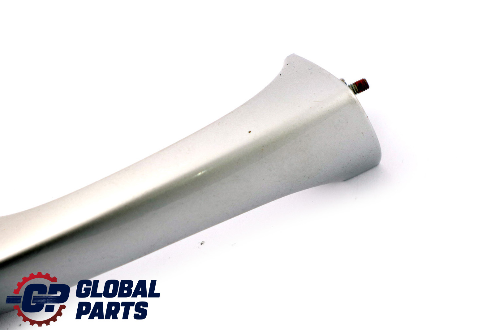 BMW X5 E53 Rear Right Handle Grab Cover O/S Titansilber Titan Silver