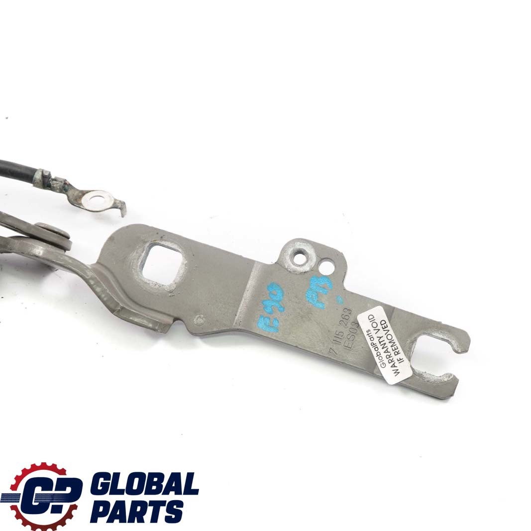 BMW 3 E90 E92 E93 Front Left Engine Bonnet Hinge N/S Platinbronze Bronze A53