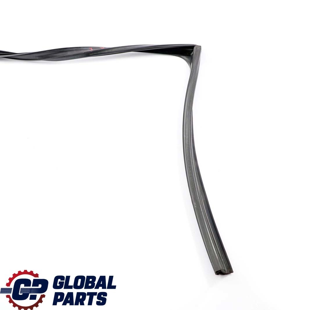 BMW F11 F11N LCI Touring Door Window Guide Rear Right O/S Seal 7199780