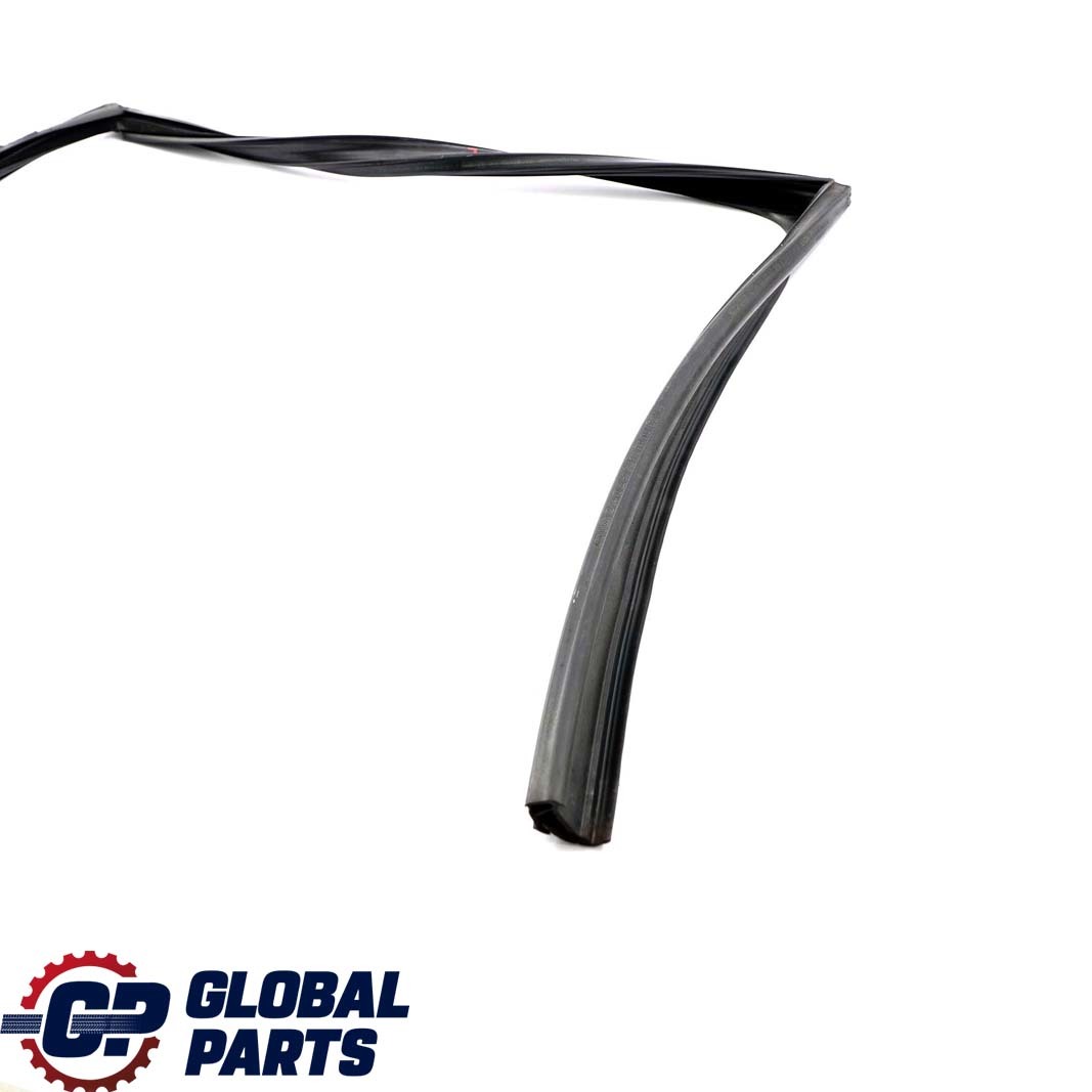 BMW F11 F11N LCI Touring Door Window Guide Rear Right O/S Seal 7199780