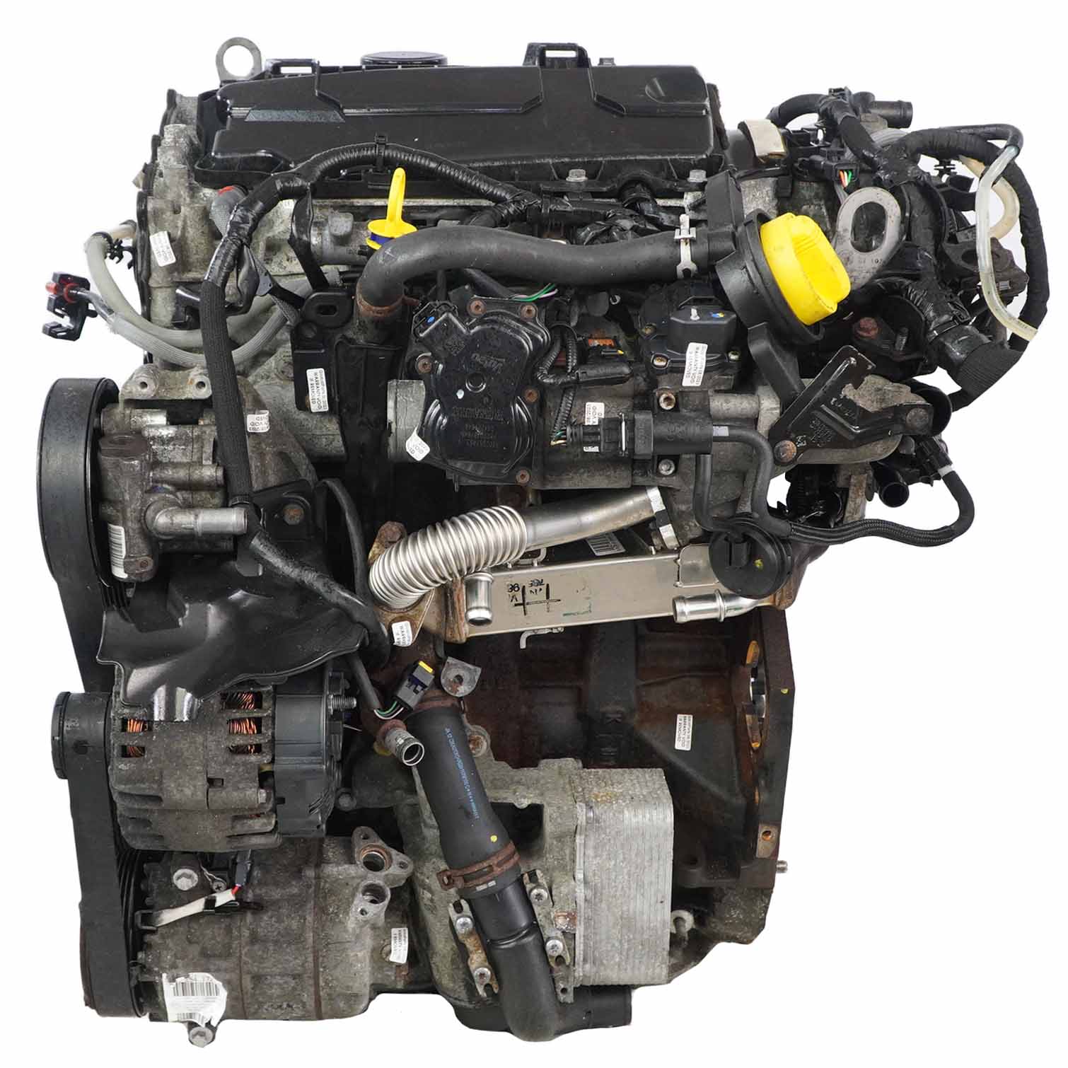 Renault Trafic II 2.0 DCI Opel Vivaro Bare Engine M9R 692 F6F6 M9RF6F6 WARRANTY