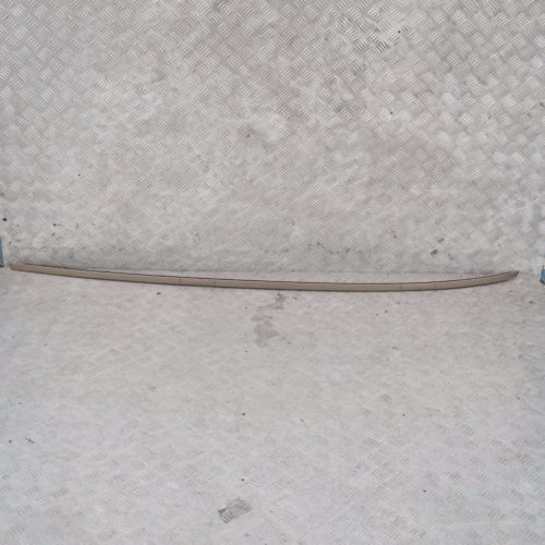 BMW 1 Series E81 E87 Left Roof Moulding Railing N/S Sonora Metallic A23