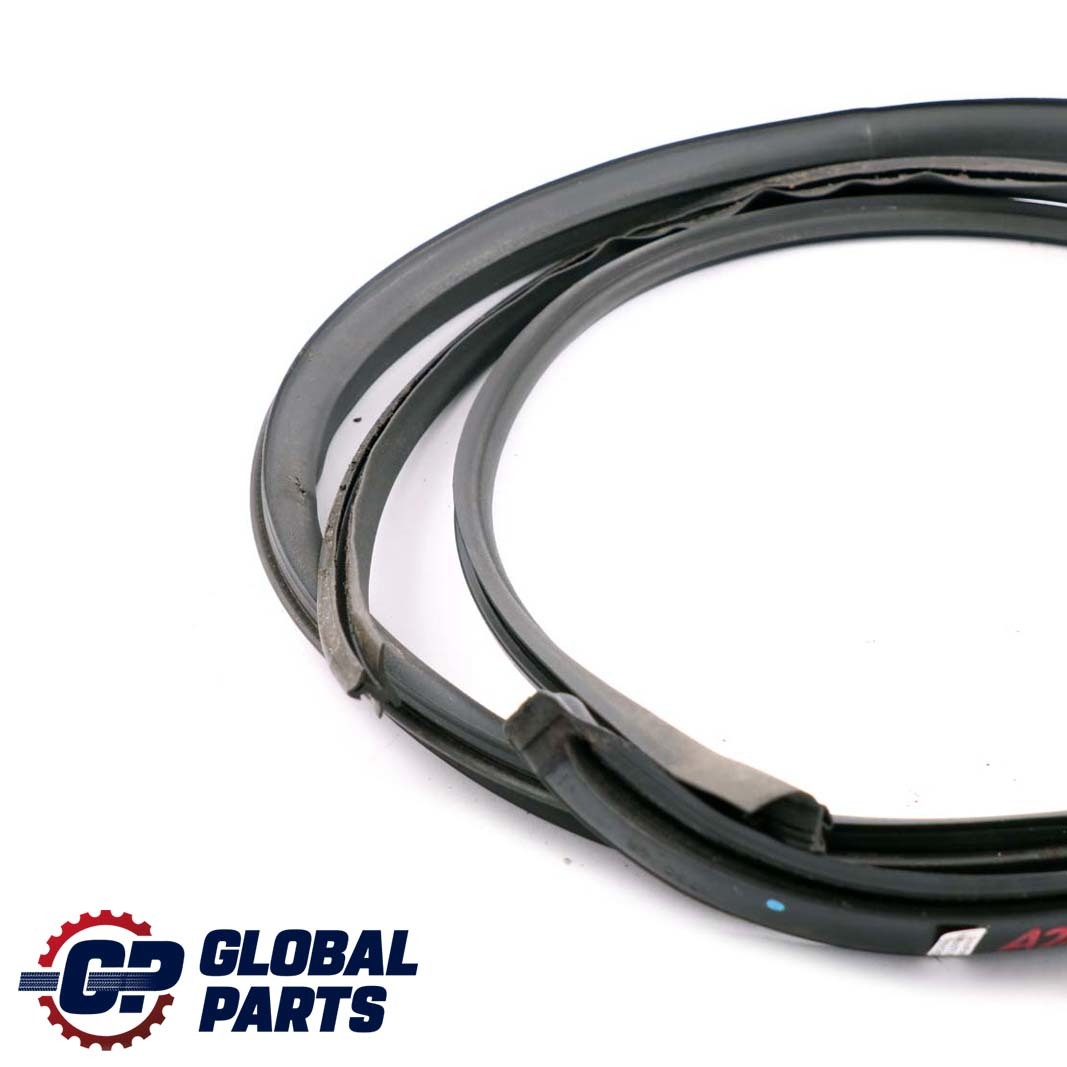 Mercedes-Benz S W220 Front Rear Right Door Seal Gasket Weatherstrip A2206903698