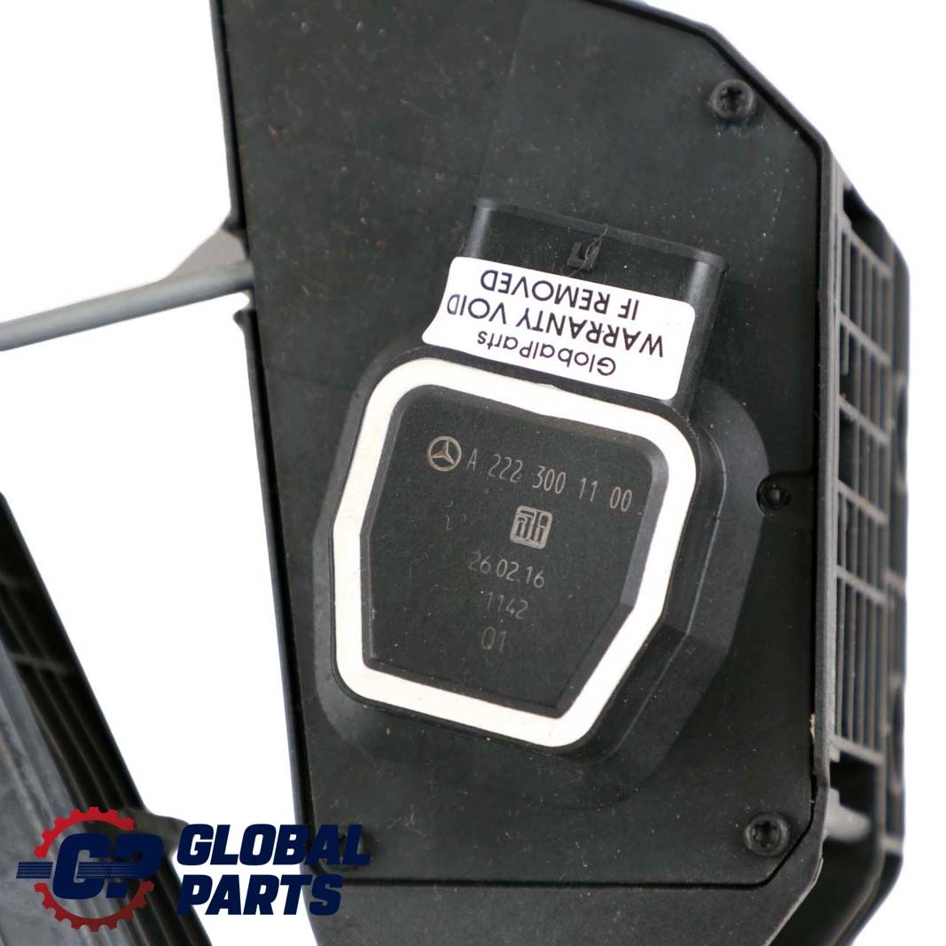 Mercedes-Benz W204 W207 W212 Gaspedal Pedal Gaswertsteller A2223001100