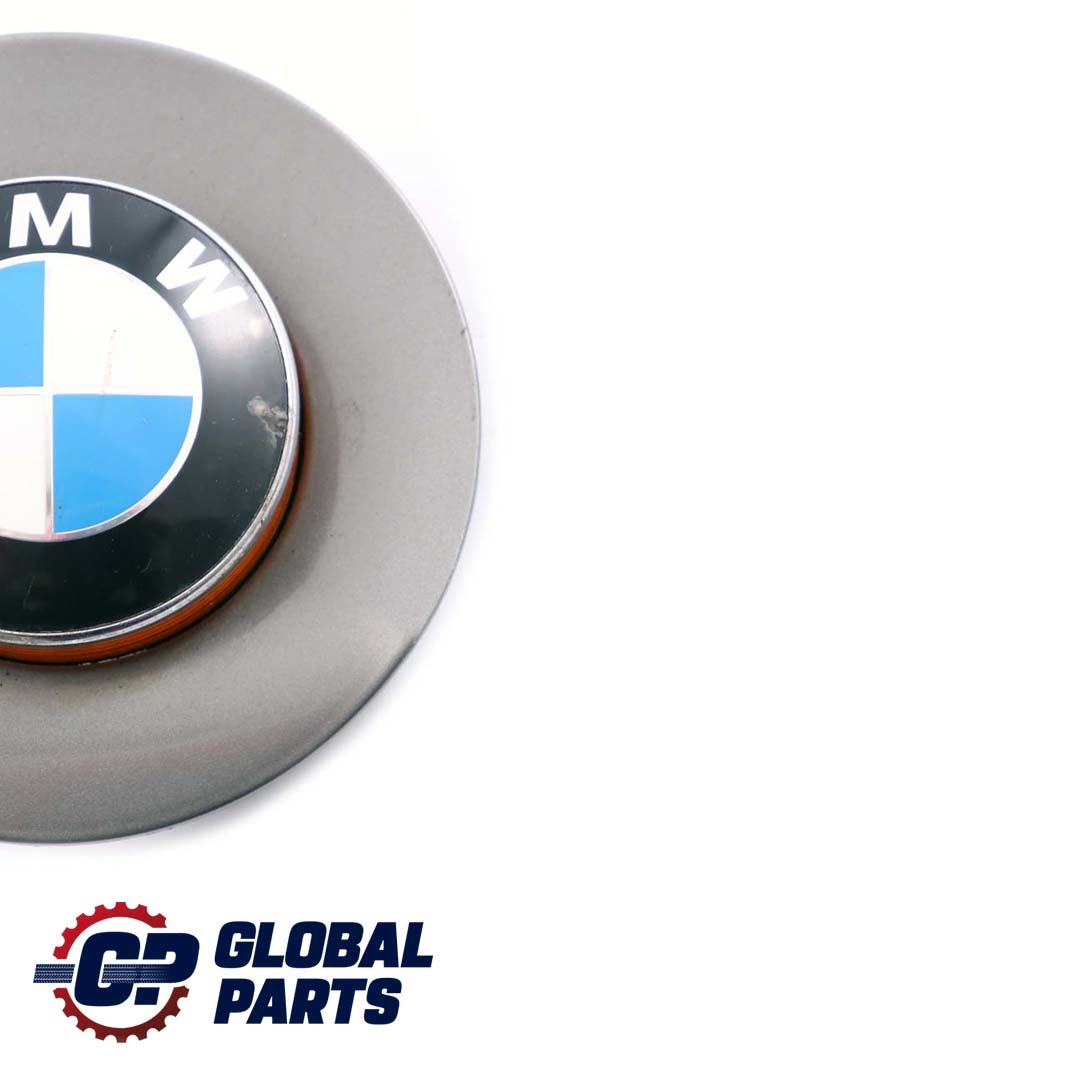 BMW Z4 Series E85 Cover Indicator Repeater Emblem Right O/S Sterlingrau Grey