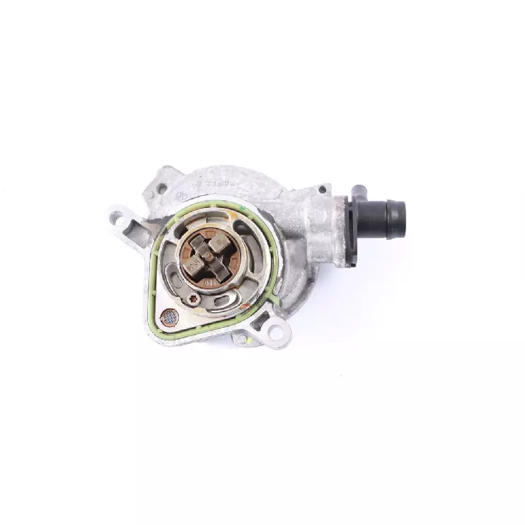 Vacuum pumps for reliable vehicle power assist systems